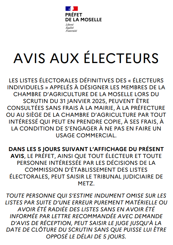 avis electeurs